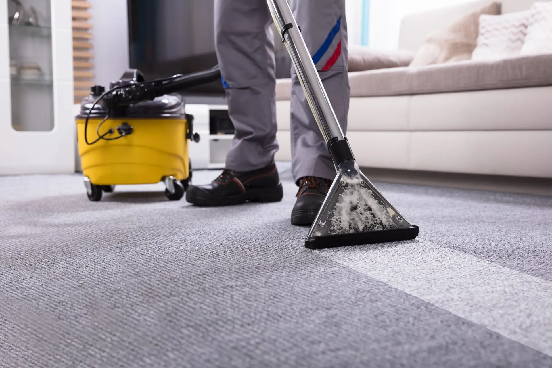 The Best Commercial Carpet Cleaning Services in Chicagoland