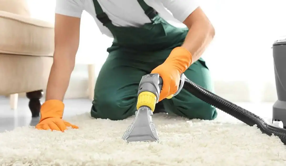 Professional Carpet Cleaning Service